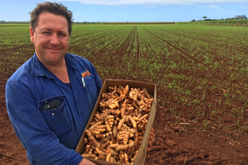 A farmer stands in front of a green field holding a box of turmeric