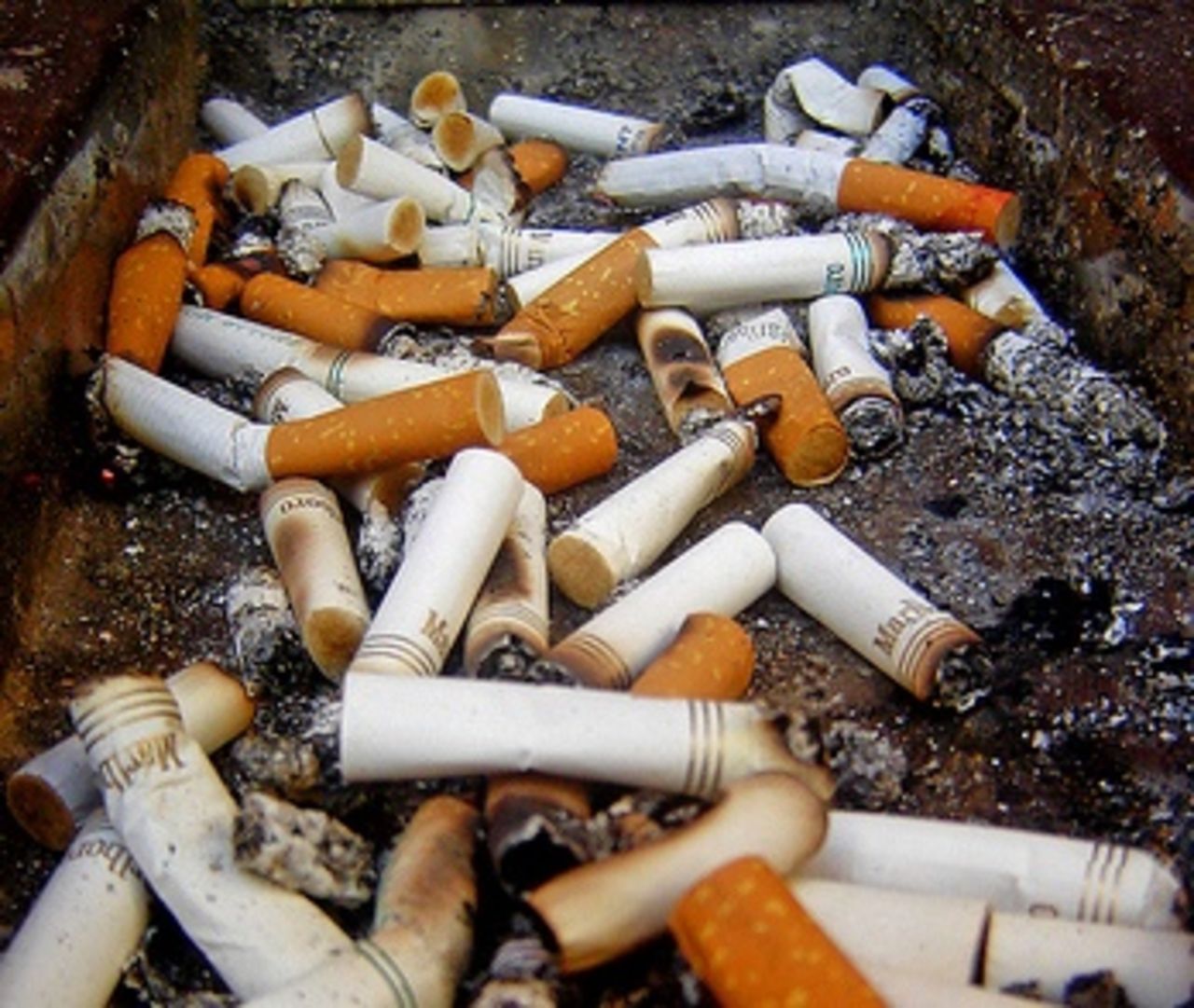 tobacco prices 30g Marlboro Gold - Hand Rolling Tobacco - 30g