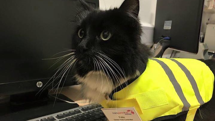 Felix was given a new uniform complete with a high-visibility vest and name badge when she was promoted.