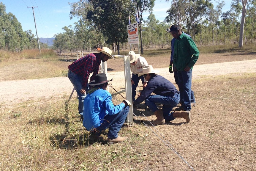 Students learn fencing on a cattle property in a free five-week program founded by Townsville couple, Geoff and Vicki Toomby