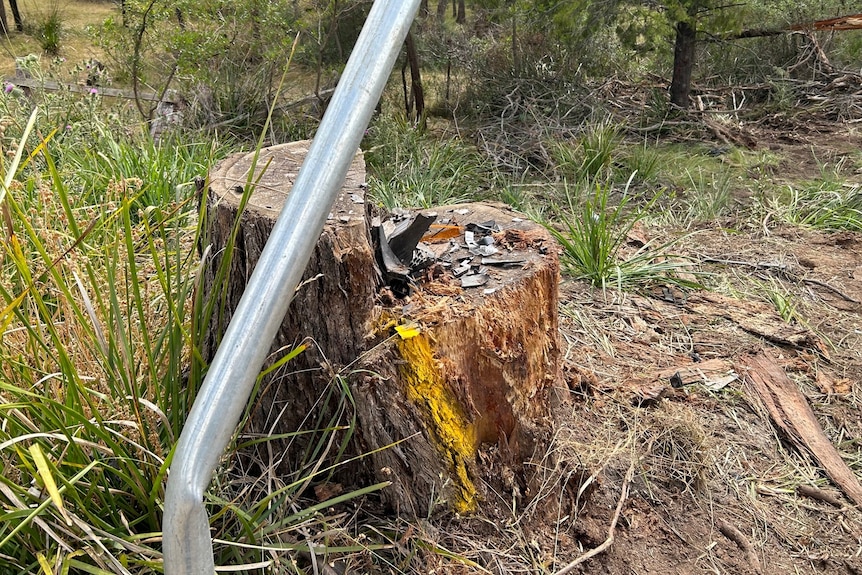 Small pieces of car debris sitting on a tree stump.