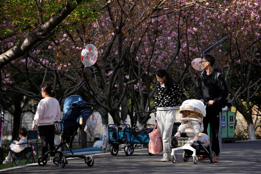 Parents strolling in a Shanghai park with a pram