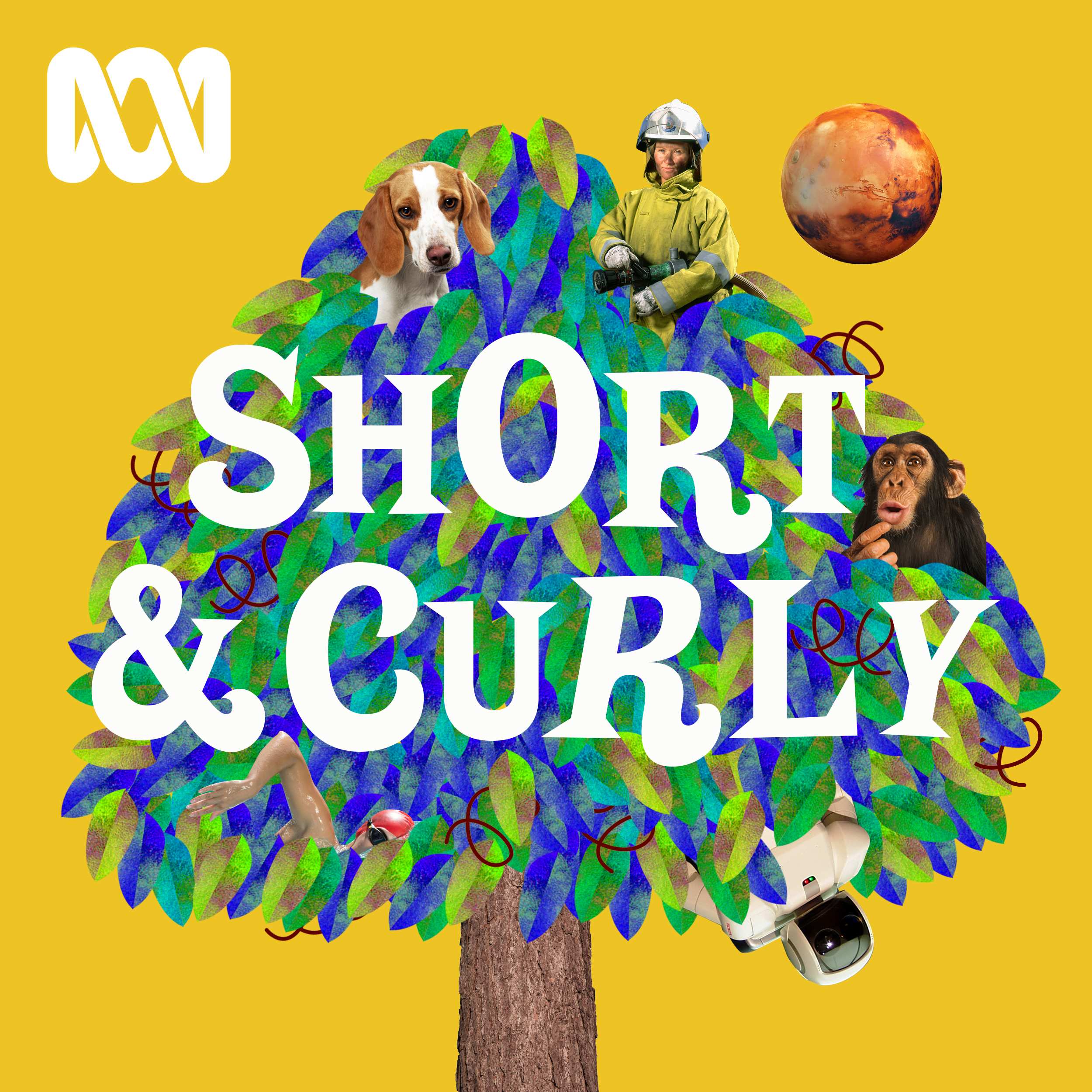 Short & Curly:ABC listen