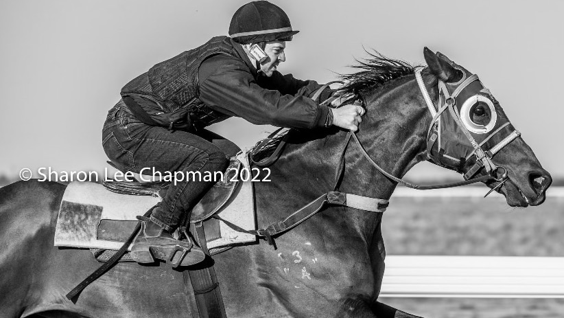 Man riding a horse in black and white