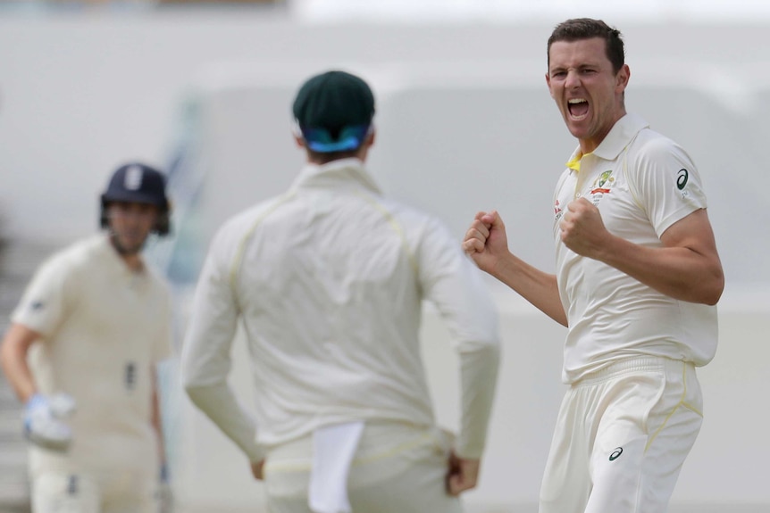 Josh Hazlewood celebrates a wicket at the WACA