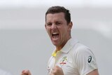 Josh Hazlewood celebrates a wicket at the WACA