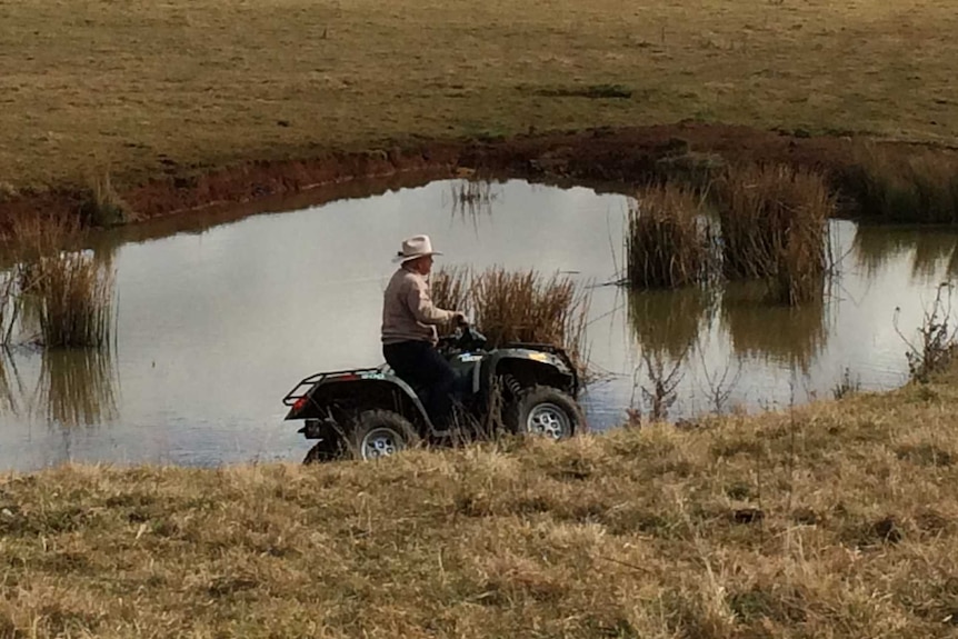 Quad bike rider without rollover protection