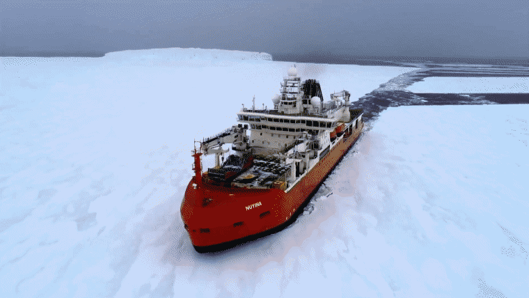 Flooding an icebreaker: Australia's daring mission to capture Antarctic krill