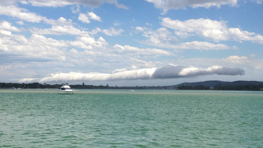 Lake Macquarie Council will investigate what will happen to sand dredged from Swansea Channel.