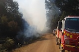 Smoke coming over the road outside Geeveston, Tasmania