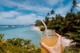 A hand holds a iced juice drink in a mason jar in front of a view of a palm tree-lined beach.