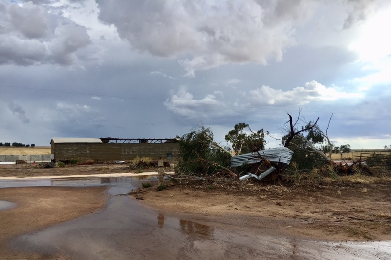 Gusts of wind reached 126km/hour during the thunderstorm