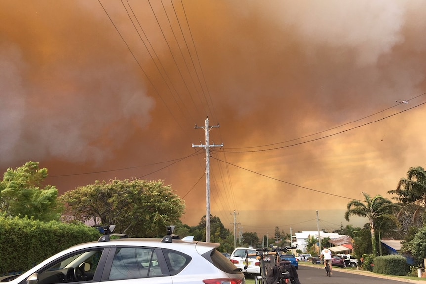 Smoke blankets a suburban street in Tathra.