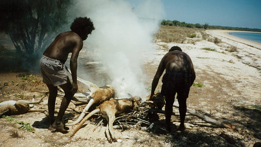 原住民在烧烤袋鼠。