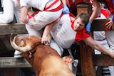 Bull forces runner up against a barrier fence in Pamplona