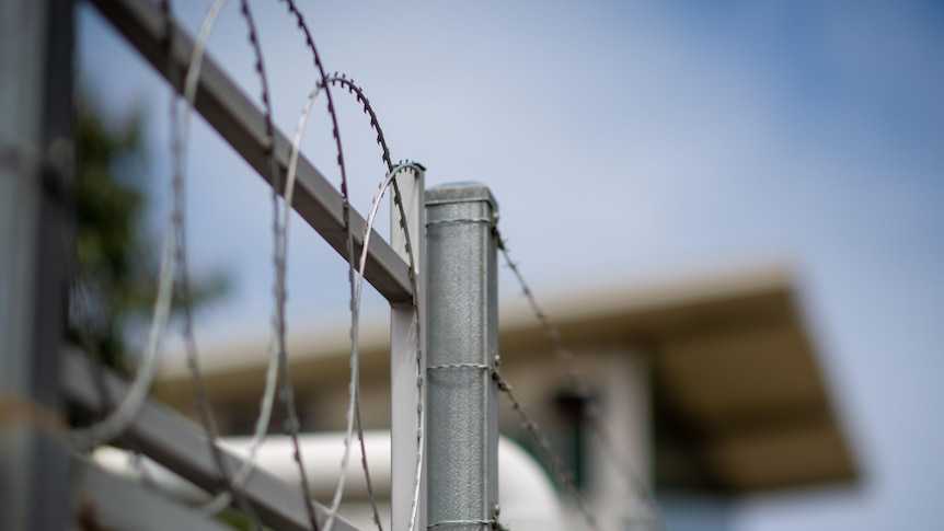 Razor wire at the top of a fence.