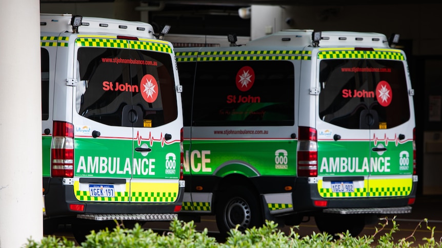 The rear of two ambulances with green and yellow markings parked in shadow.