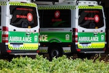 The rear of two ambulances with green and yellow markings parked in shadow.