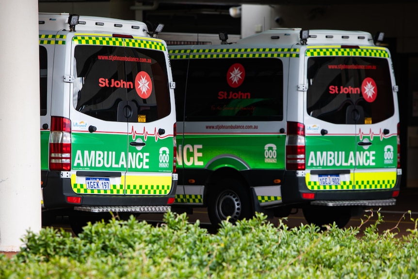 The rear of two ambulances with green and yellow markings parked in shadow.