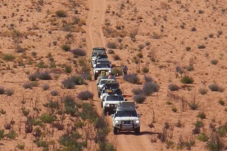 A convoy of cars drive down a sand dune in single file 