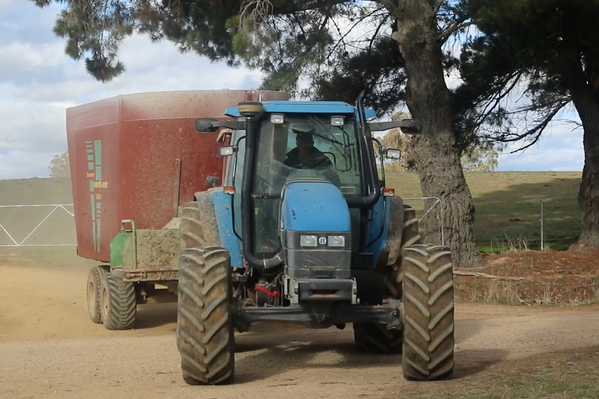 Tractor in dusty field tows a silage bin with feed for hungry stock