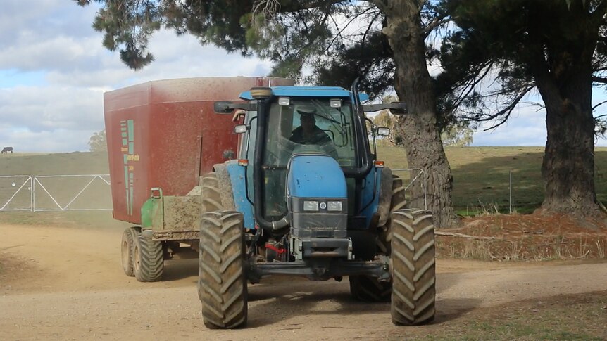 Tractor in dusty field tows a silage bin with feed for hungry stock