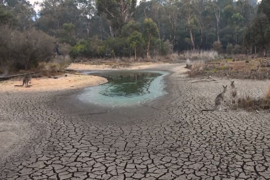 A dry dam.