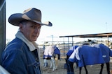 Man in cowboy hat standing in front of horses in a yard.