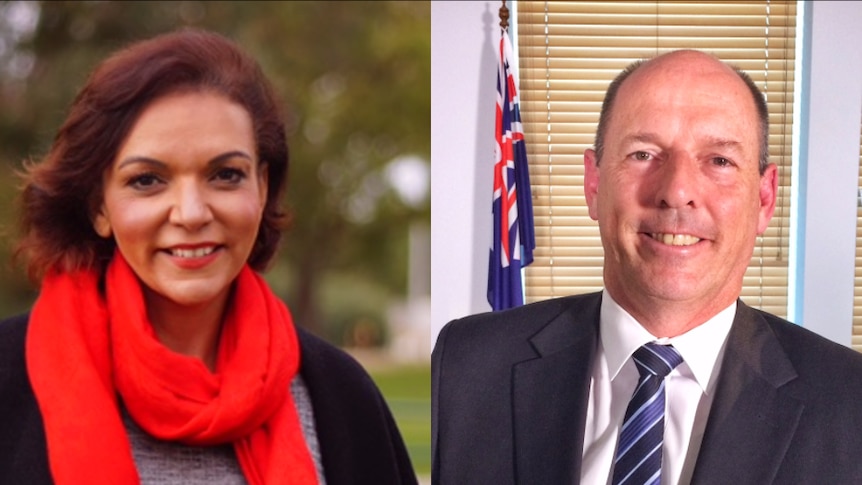 Composite photo of Labor's candidate for Cowan Anne Aly and the sitting member for Cowan, Liberal MP Luke Simpkins.