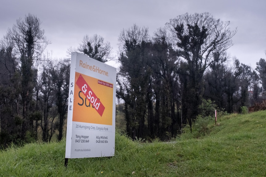 A for sale sign outside a property with burnt trees behind