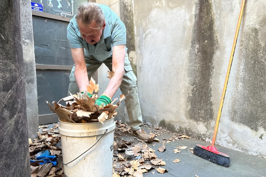A man picks up leaves to place them in a bucket