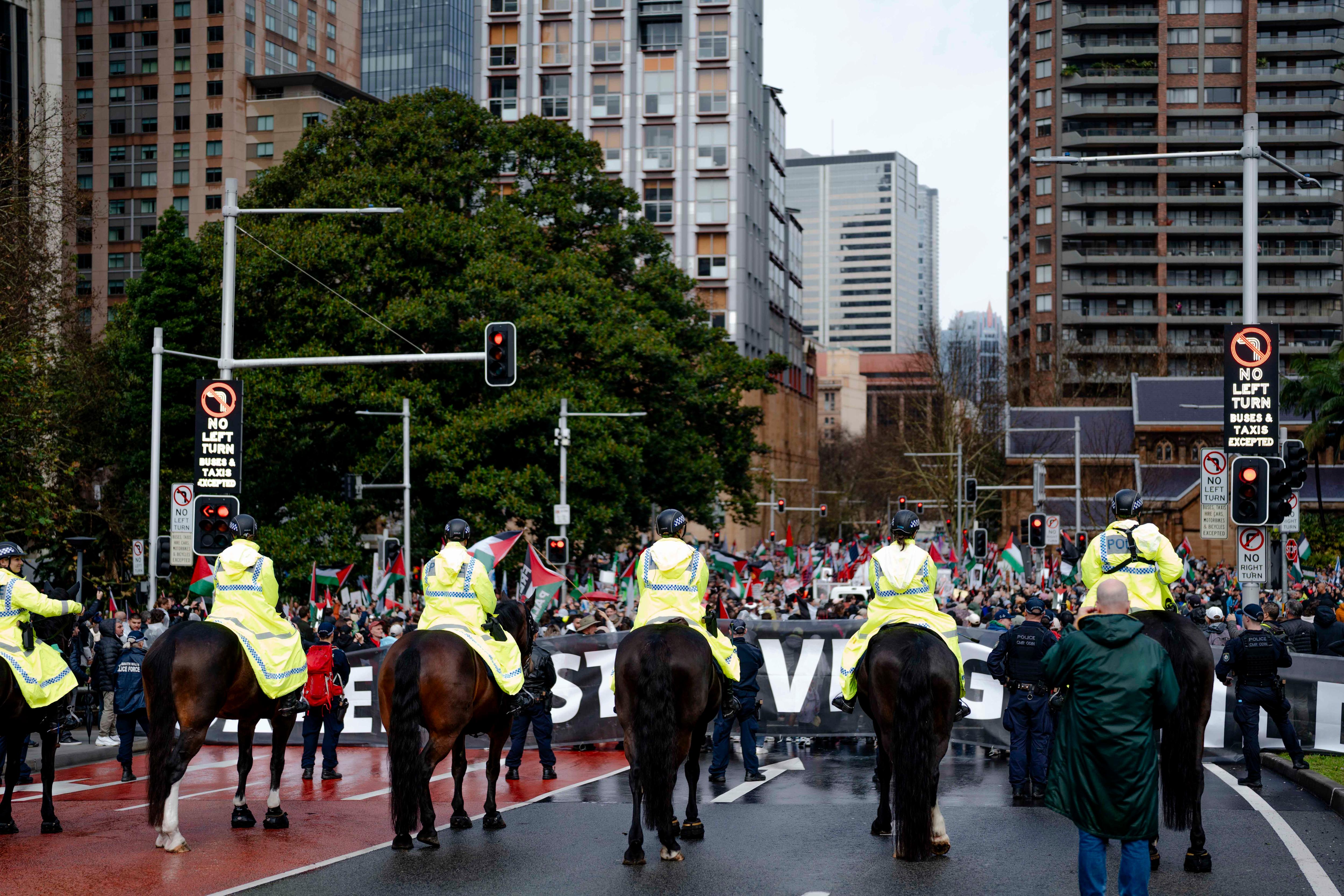 Mounted police at pro-Palestine march