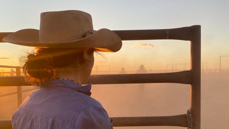 Back of head shot of woman in cowgirl hat and blue work shirt looking through farm gate as sunrises over dusty paddock