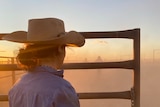 Back of head shot of woman in cowgirl hat and blue work shirt looking through farm gate as sunrises over dusty paddock