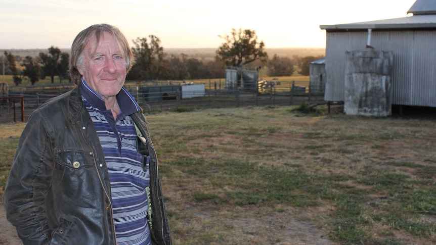 A man stands on a hill in front of a shearing shed