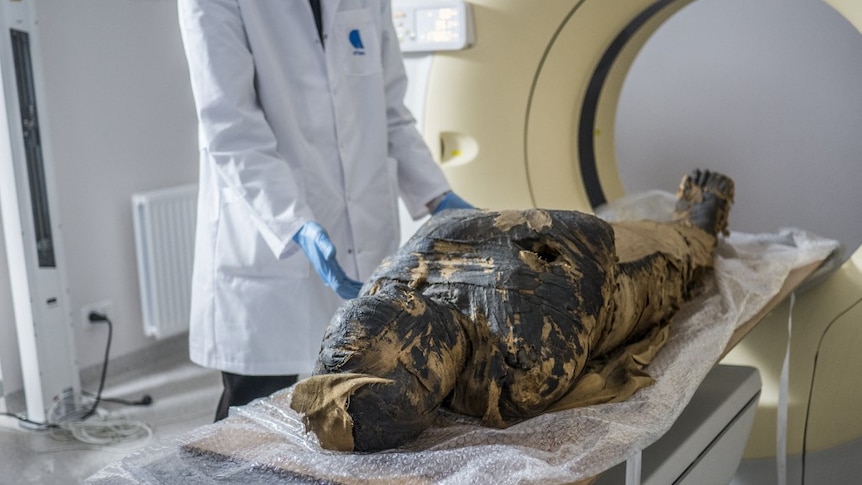 The pregnant Egyptian mummy underwent X-rays at a medical centre in Otwock near Warsaw, Poland. 