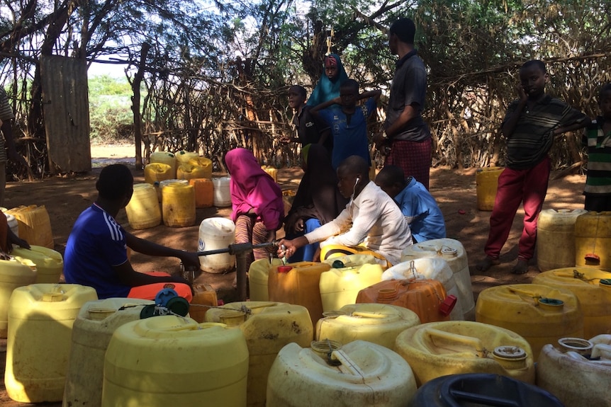 The water is pumped from bores that have sunk in the arid landscape