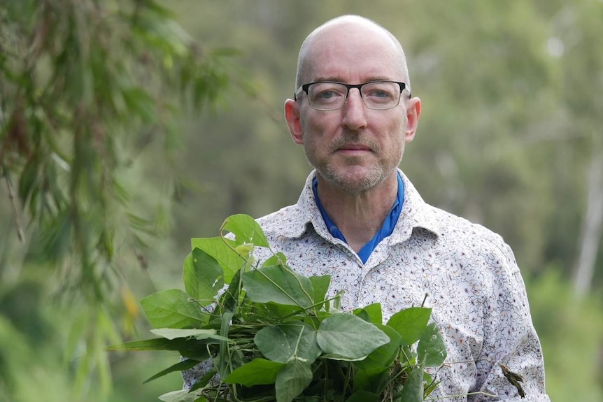 Man with glasses holds a bunch of leaves.