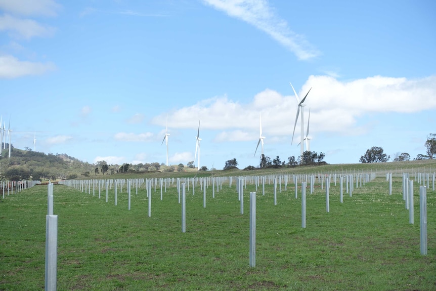 Wind turbines