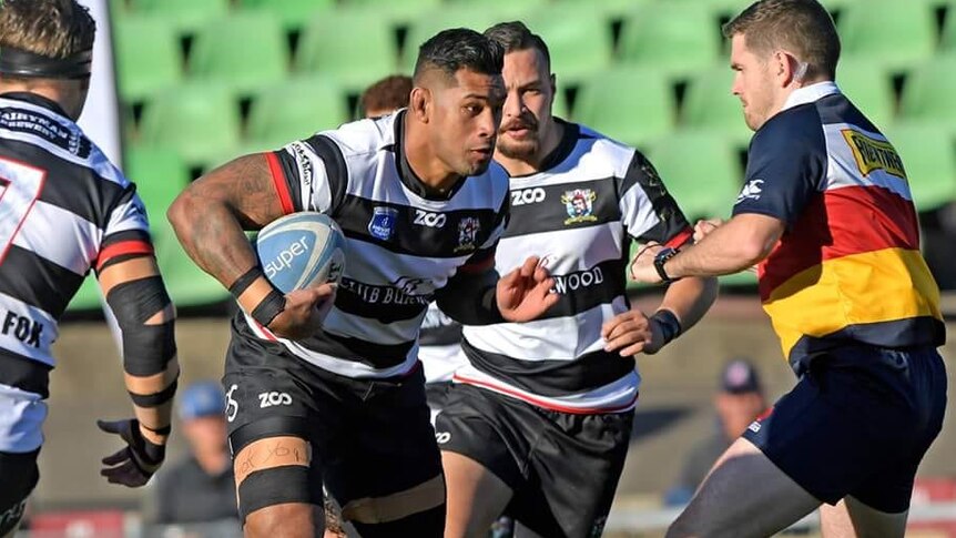 West Harbour rugby club in action during 2018 Shute Shield