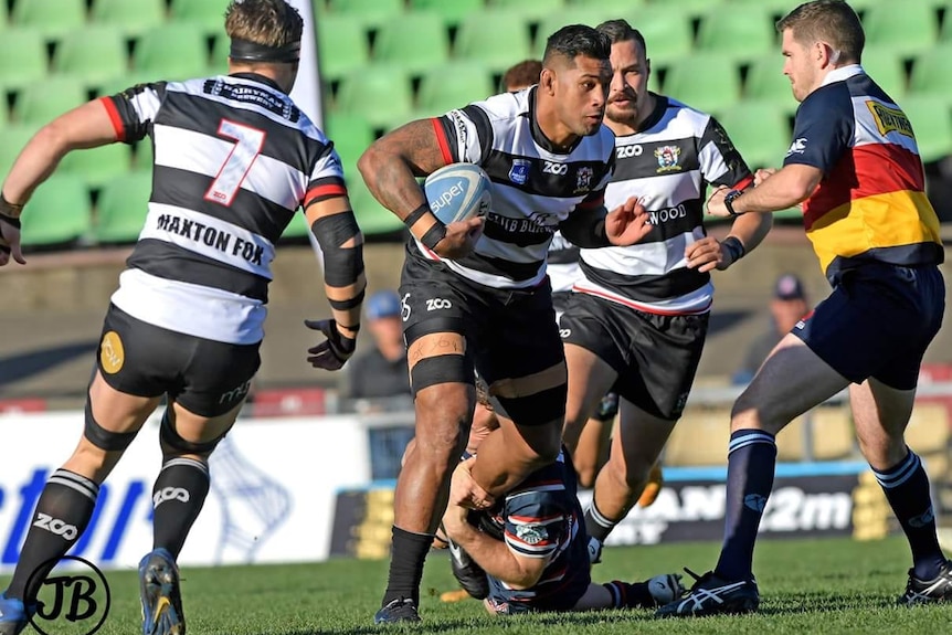 West Harbour rugby club in action during 2018 Shute Shield