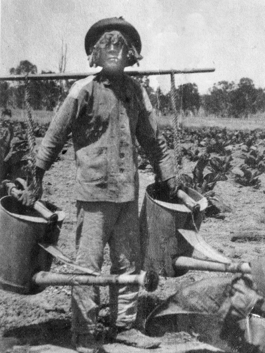 Chinese tobacco farmers