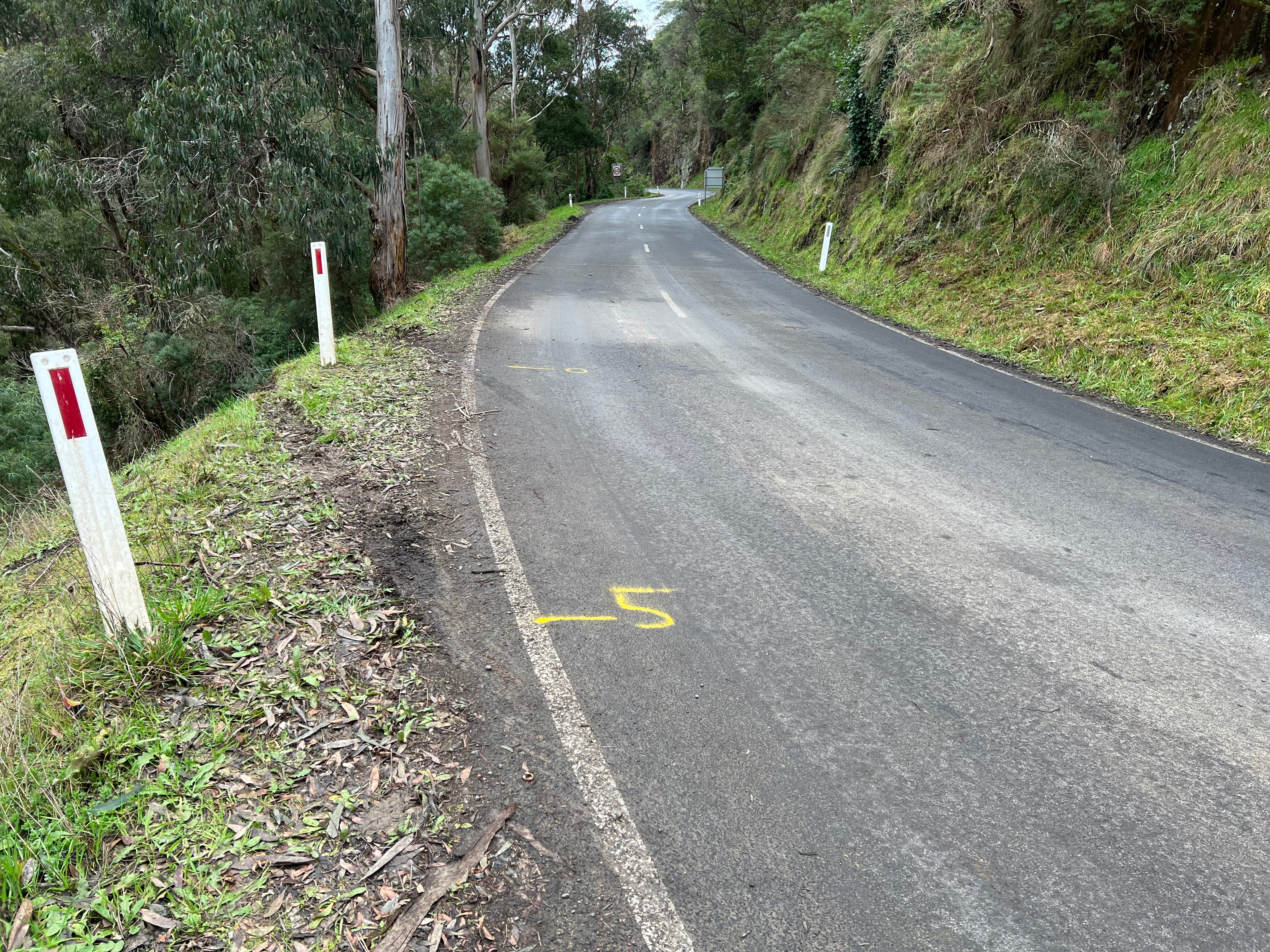 Tire marks show where the car left the road.