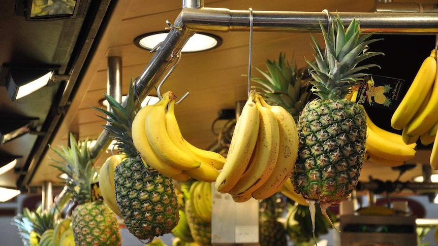 Whole pineapples and bunches of bananas hanging from a railing at a fruit market.