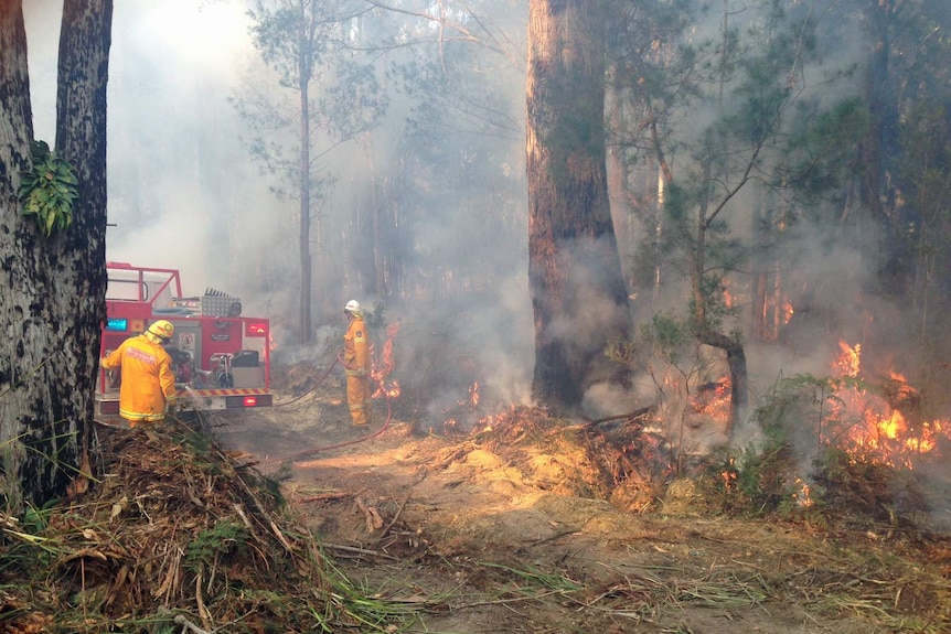 Firefighters back burning near Lefroy in Tasmania's north March 5, 2015