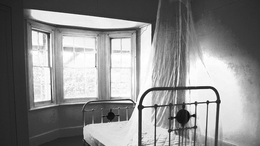 An iron-frame single bed with a fly screen hanging from above faces toward uncovered windows in an otherwise empty room.