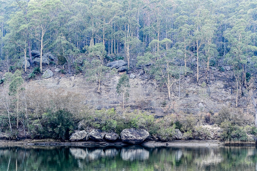 A section of the river at Bundanon, which inspired many of Boyd's paintings.