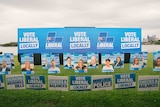 Liberal candidate election signs on a lawn.