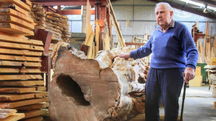 Sawmiller Bern Bradshaw, 90, has been working with Huon pines most of his life.