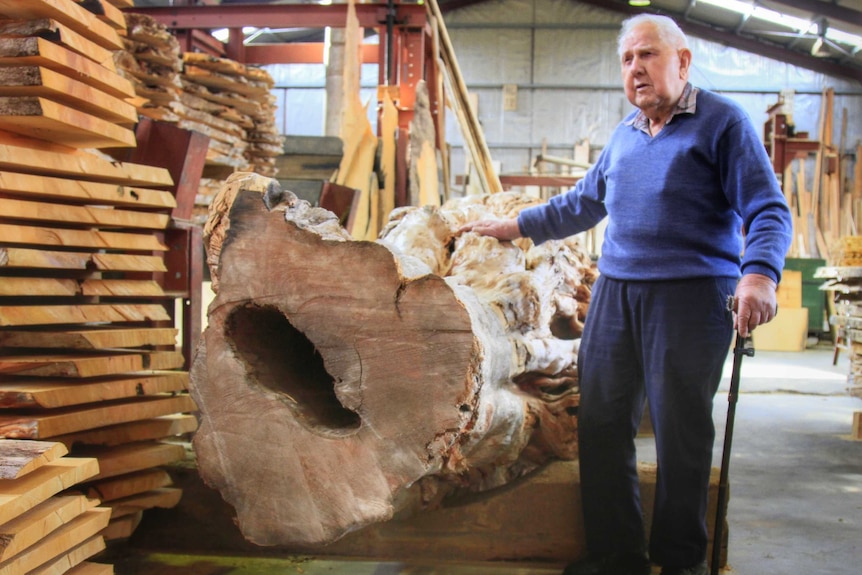 Sawmiller Bern Bradshaw, 90, has been working with Huon pines most of his life.